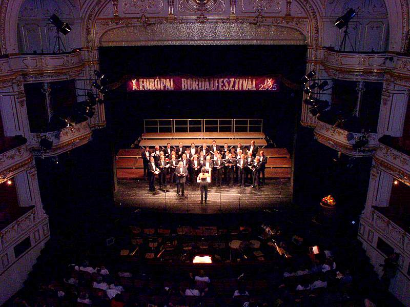 08261 2005.09.24 pcs teatro 17 concierto satur